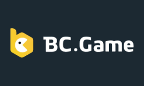 The Future of Innovation How BC CO is Transforming Industries